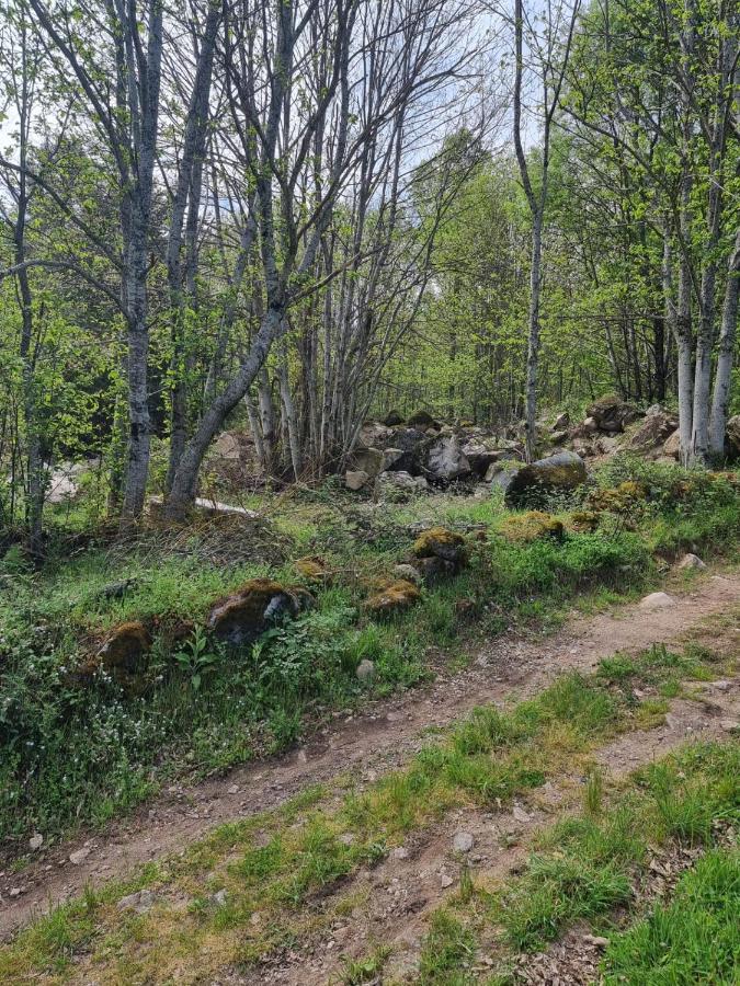 Quinta De Leandres Hotell Manteigas Eksteriør bilde